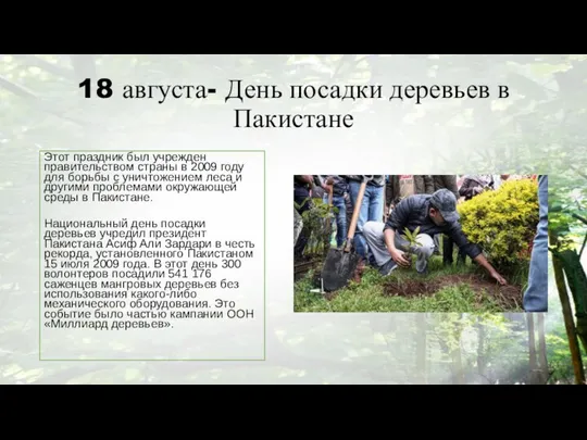 18 августа- День посадки деревьев в Пакистане Этот праздник был учрежден