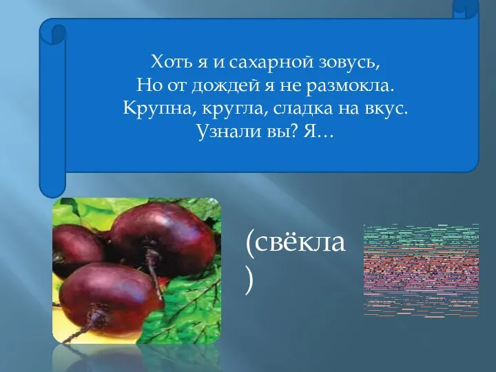 Хоть я и сахарной зовусь, Но от дождей я не размокла.