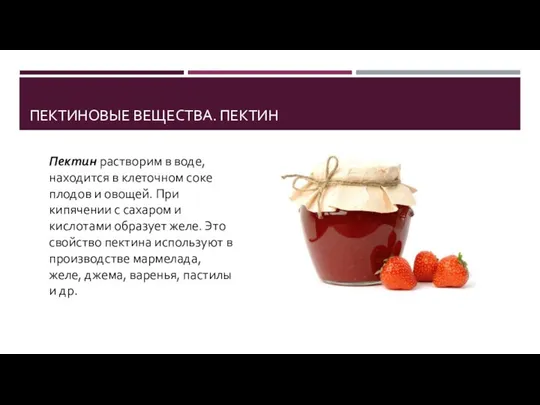 ПЕКТИНОВЫЕ ВЕЩЕСТВА. ПЕКТИН Пектин растворим в воде, находится в клеточном соке