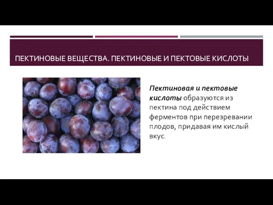 ПЕКТИНОВЫЕ ВЕЩЕСТВА. ПЕКТИНОВЫЕ И ПЕКТОВЫЕ КИСЛОТЫ Пектиновая и пектовые кислоты образуются