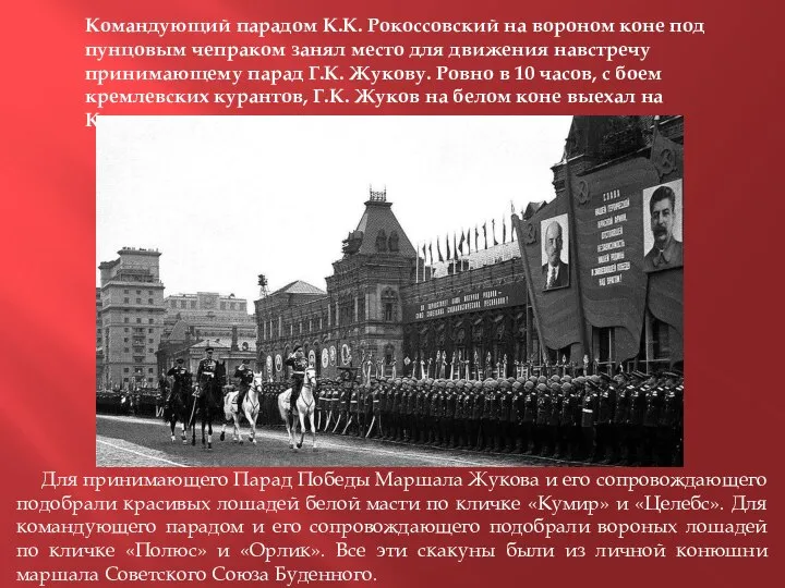 Командующий парадом К.К. Рокоссовский на вороном коне под пунцовым чепраком занял