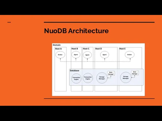 NuoDB Architecture