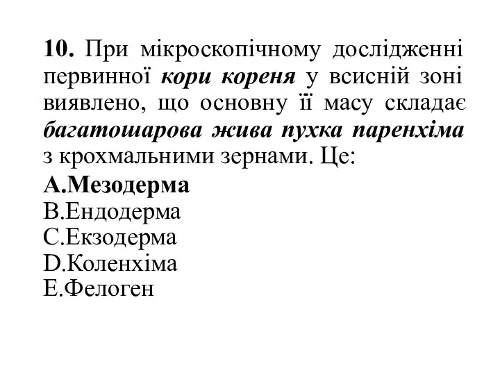 10. При мікроскопічному дослідженні первинної кори кореня у всисній зоні виявлено,