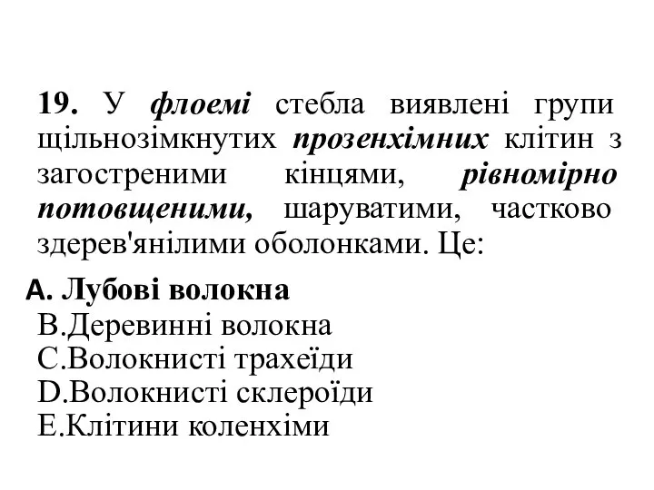 19. У флоемі стебла виявлені групи щiльнозiмкнутих прозенхімних клітин з загостреними