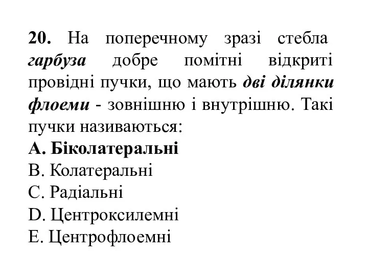 20. На поперечному зразі стебла гарбуза добре помiтнi відкриті провідні пучки,