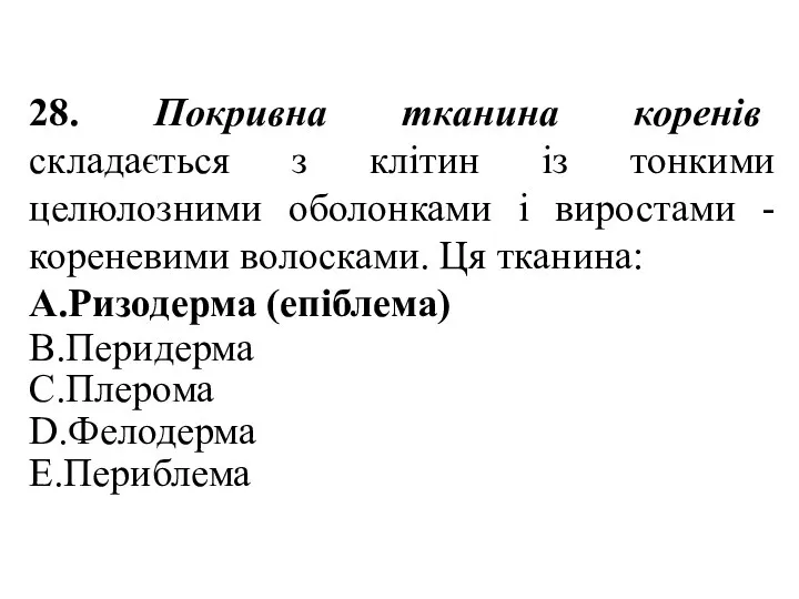 28. Покривна тканина коренів складається з клітин із тонкими целюлозними оболонками