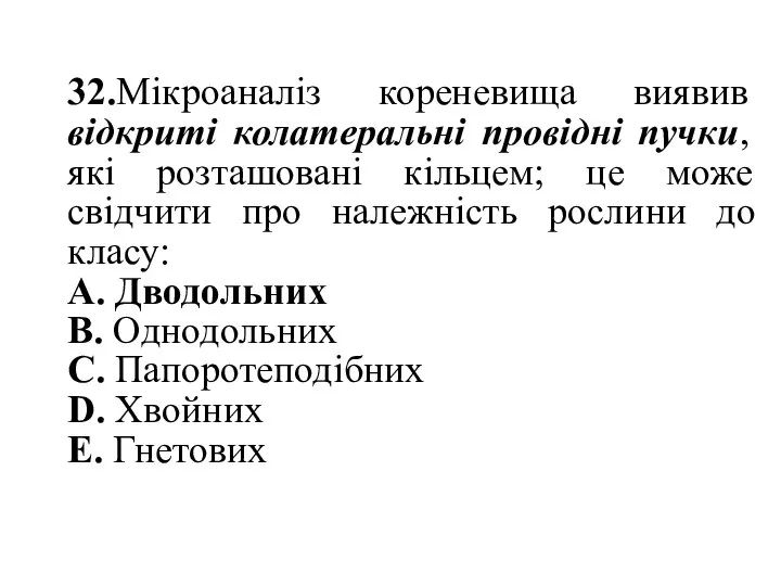 32.Мікроаналіз кореневища виявив відкриті колатеральні провідні пучки, які розташовані кільцем; це