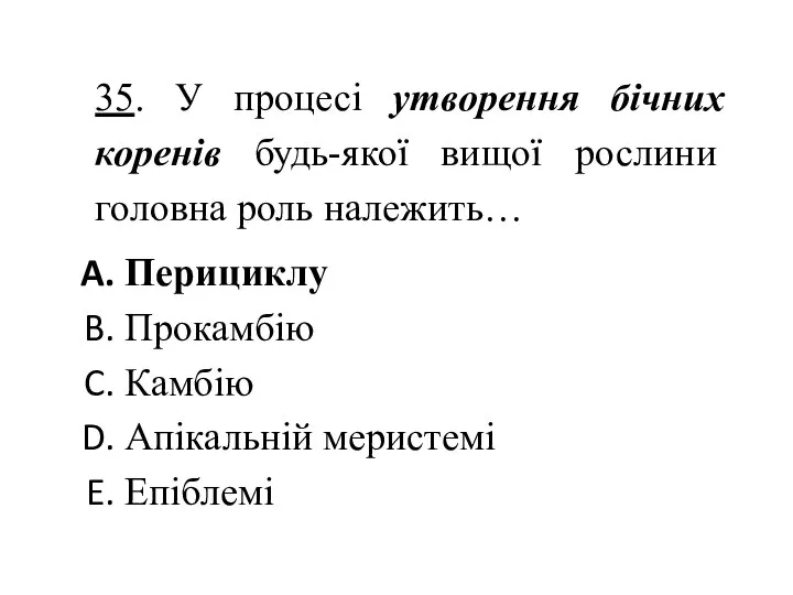 35. У процесі утворення бічних коренів будь-якої вищої рослини головна роль