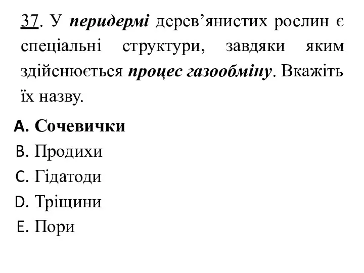 37. У перидермі дерев’янистих рослин є спеціальні структури, завдяки яким здійснюється