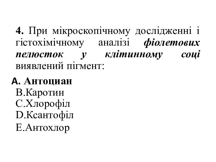 4. При мікроскопічному дослідженні i гістохімічному аналізі фіолетових пелюсток у клітинному