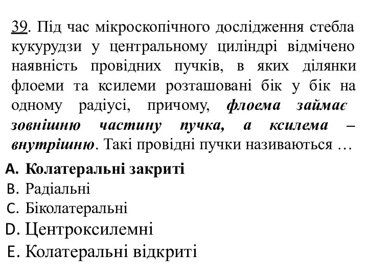 39. Під час мікроскопічного дослідження стебла кукурудзи у центральному циліндрі відмічено