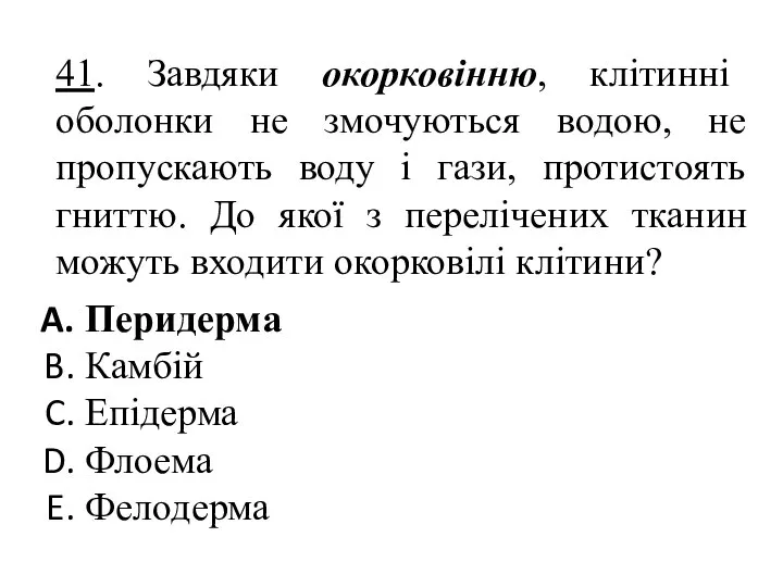 41. Завдяки окорковінню, клітинні оболонки не змочуються водою, не пропускають воду