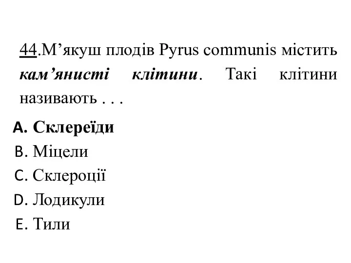 44.М’якуш плодів Pyrus communis містить кам’янисті клітини. Такі клітини називають .