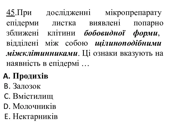 45.При дослідженні мікропрепарату епідерми листка виявлені попарно зближені клітини бобовидної форми,