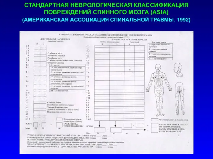СТАНДАРТНАЯ НЕВРОЛОГИЧЕСКАЯ КЛАССИФИКАЦИЯ ПОВРЕЖДЕНИЙ СПИННОГО МОЗГА (ASIA) (АМЕРИКАНСКАЯ АССОЦИАЦИЯ СПИНАЛЬНОЙ ТРАВМЫ, 1992)