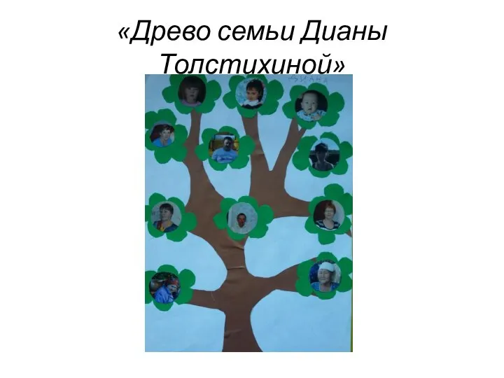 «Древо семьи Дианы Толстихиной»