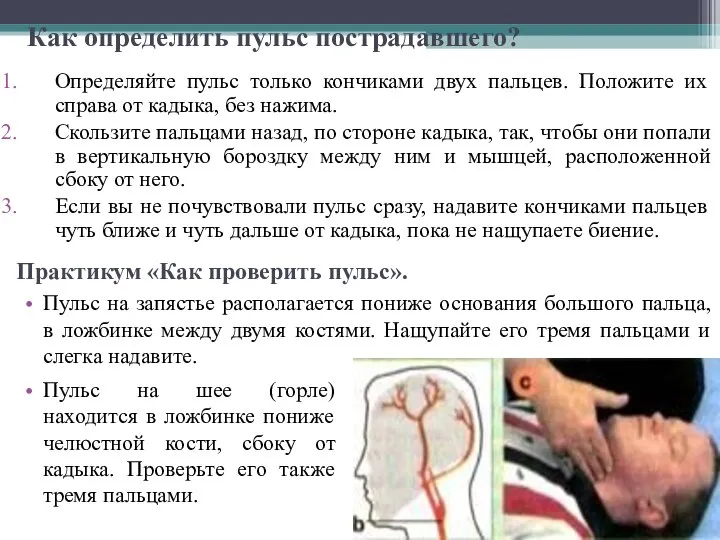 Как определить пульс пострадавшего? Определяйте пульс только кончиками двух пальцев. Положите