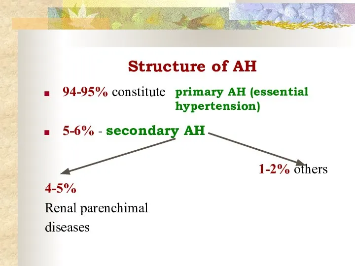 Structure of AH 94-95% constitute 5-6% - secondary AH 4-5% Renal