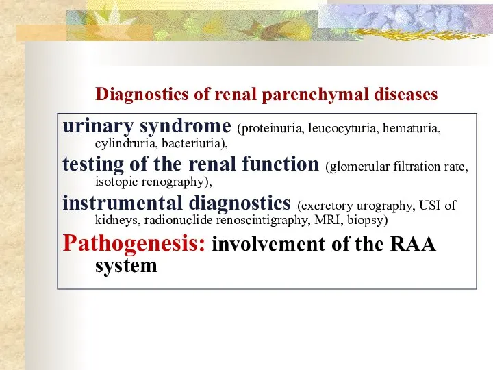 Diagnostics of renal parenchymal diseases urinary syndrome (proteinuria, leucocyturia, hematuria, cylindruria,