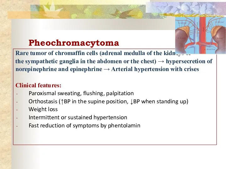 Pheochromacytoma Rare tumor of chromaffin cells (adrenal medulla of the kidneys