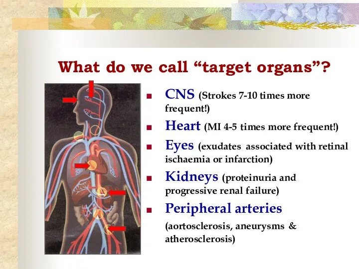 What do we call “target organs”? CNS (Strokes 7-10 times more