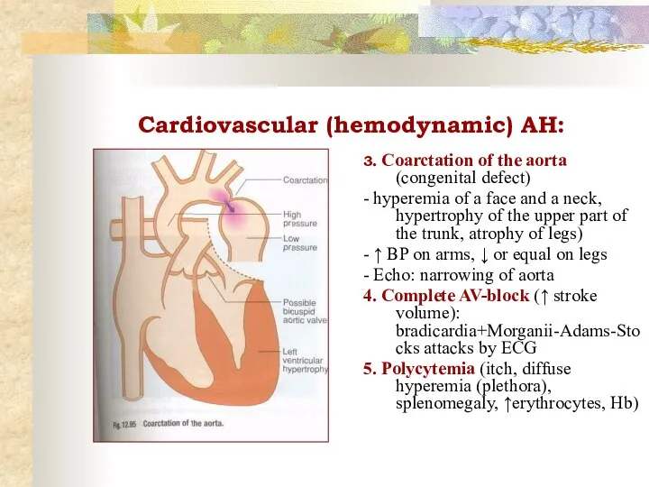 Cardiovascular (hemodynamic) AH: 3. Coarctation of the aorta (congenital defect) -