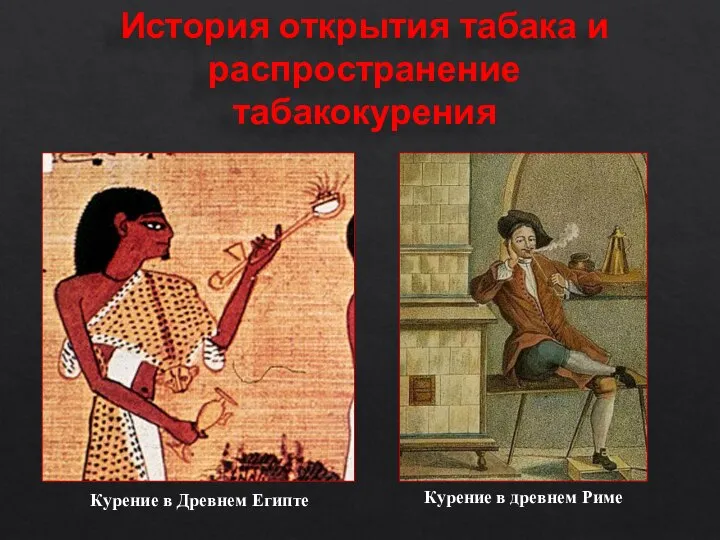 История открытия табака и распространение табакокурения Курение в Древнем Египте Курение в древнем Риме