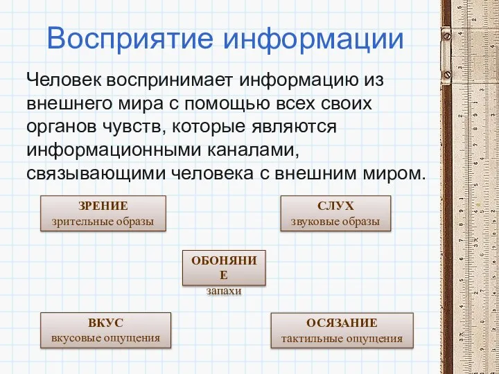 Восприятие информации Человек воспринимает информацию из внешнего мира с помощью всех