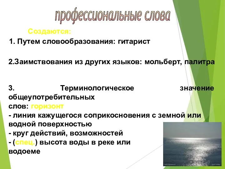 профессиональные слова Создаются: 1. Путем словообразования: гитарист 2.Заимствования из других языков: