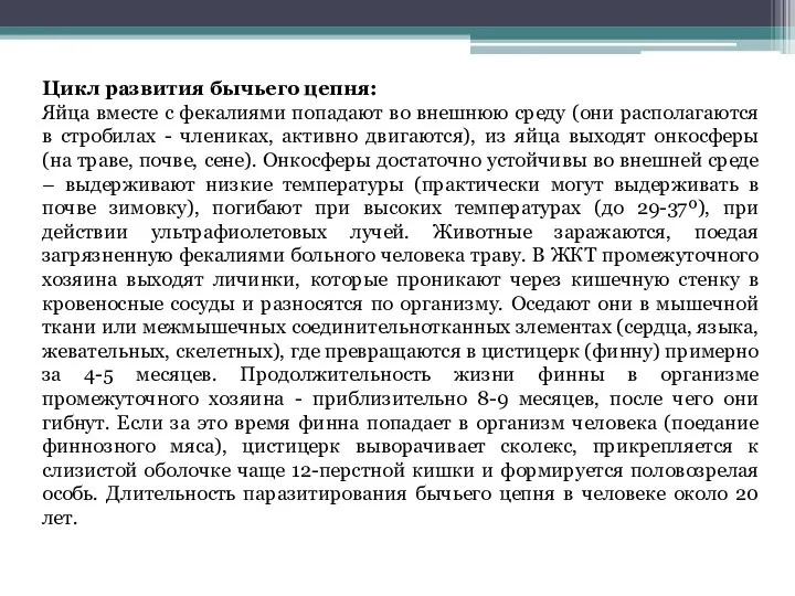 Цикл развития бычьего цепня: Яйца вместе с фекалиями попадают во внешнюю