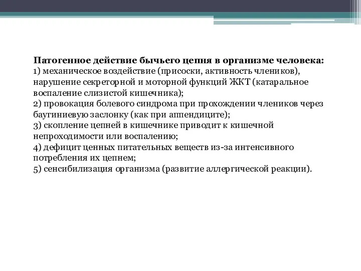 Патогенное действие бычьего цепня в организме человека: 1) механическое воздействие (присоски,