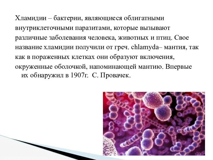 Хламидии – бактерии, являющиеся облигатными внутриклеточными паразитами, которые вызывают различные заболевания