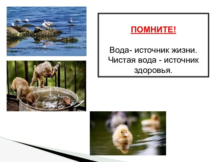 ПОМНИТЕ! Вода- источник жизни. Чистая вода - источник здоровья.