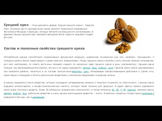 Грецкий орех – плод орехового дерева. Родина грецкого ореха – Средняя