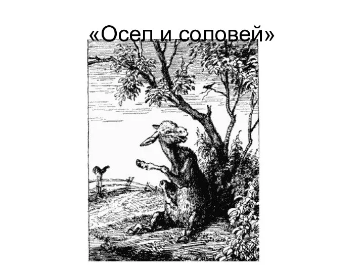 «Осел и соловей»