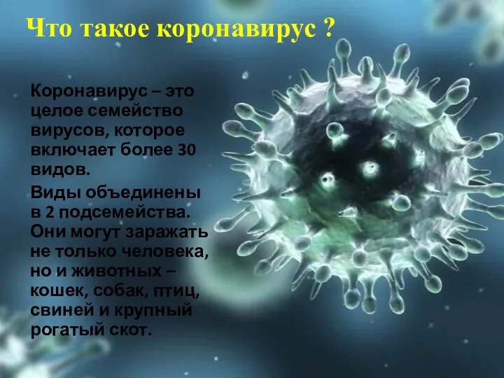 Что такое коронавирус ? Коронавирус – это целое семейство вирусов, которое