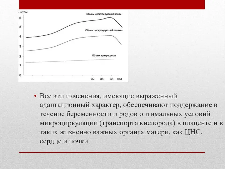 Все эти изменения, имеющие выраженный адаптационный характер, обеспечивают поддержание в течение