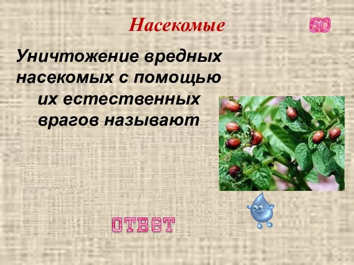 Биологический способ борьбы 60 Уничтожение вредных насекомых с помощью их естественных врагов называют Насекомые