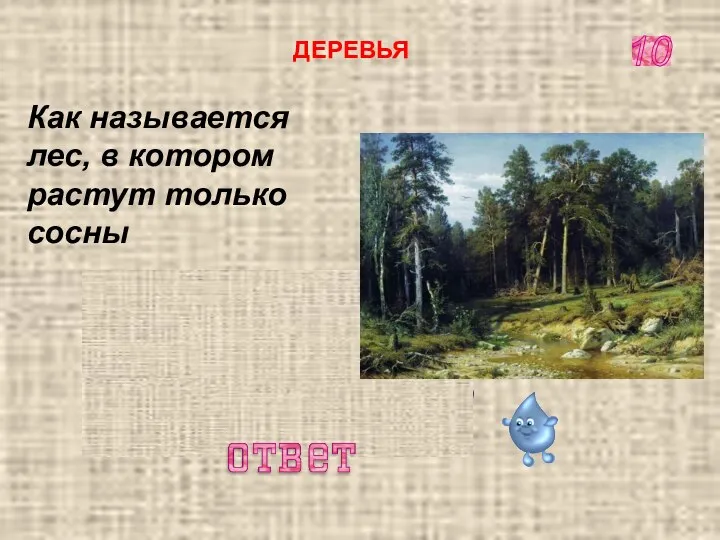 СОСНОВЫЙ БОР 10 ДЕРЕВЬЯ Как называется лес, в котором растут только сосны