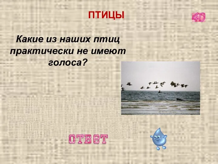 аист, выпь Какие из наших птиц практически не имеют голоса? 40 ПТИЦЫ