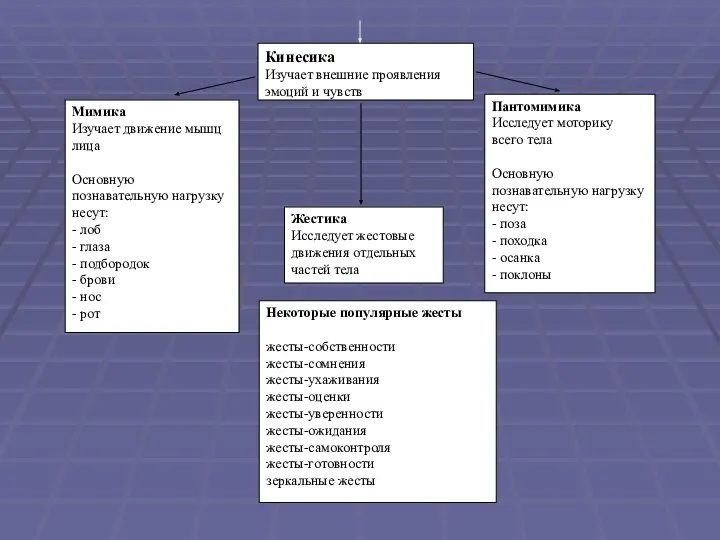 Кинесика Изучает внешние проявления эмоций и чувств Мимика Изучает движение мышц