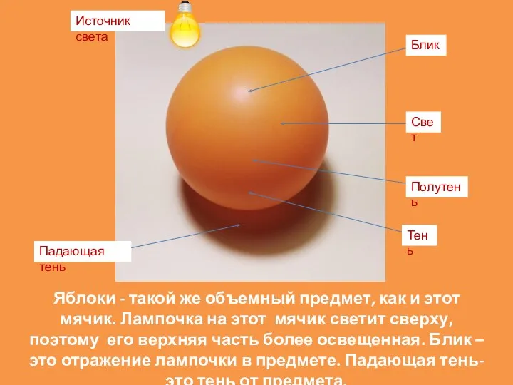 Яблоки - такой же объемный предмет, как и этот мячик. Лампочка