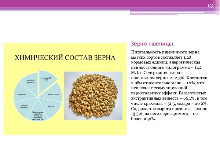 Зерно пшеницы. Питательность пшеничного зерна мягких сортов составляет 1,28 кормовых единиц,
