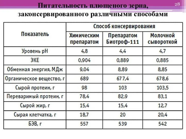 Питательность плющеного зерна, законсервированного различными способами