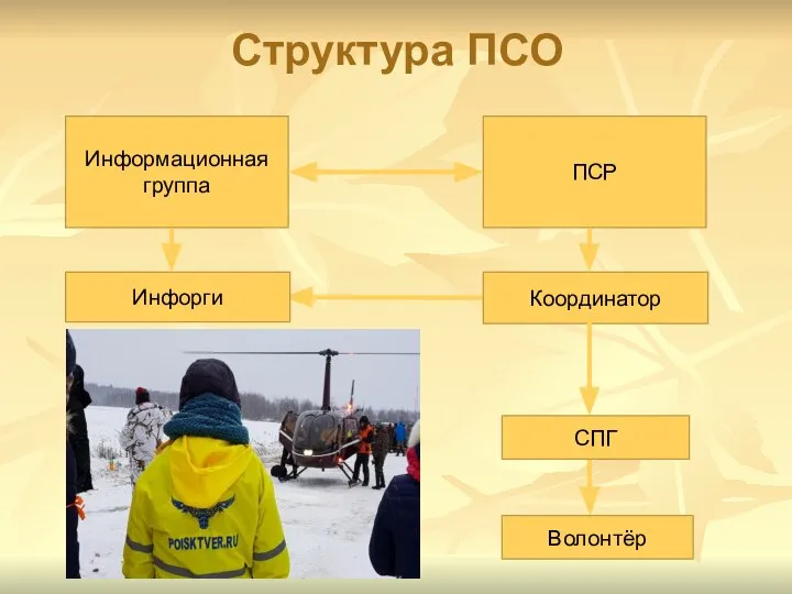 Структура ПСО ПСР Информационная группа Инфорги Координатор СПГ Волонтёр