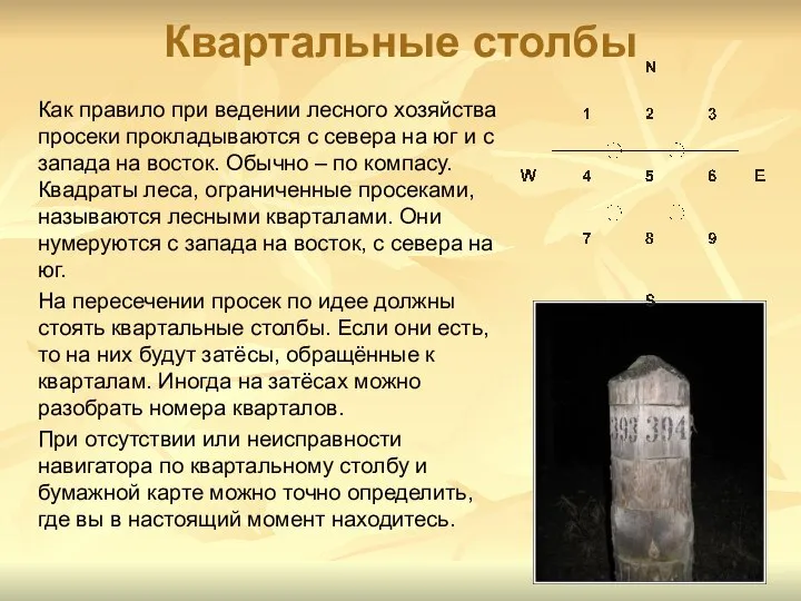 Квартальные столбы Как правило при ведении лесного хозяйства просеки прокладываются с