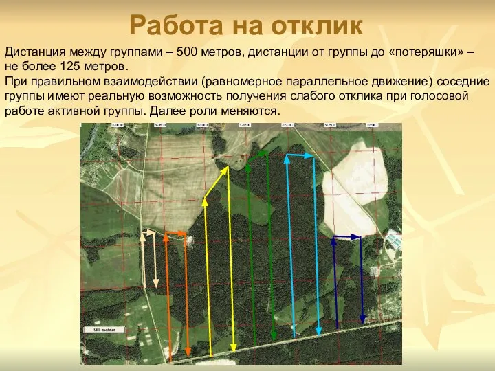 Работа на отклик Дистанция между группами – 500 метров, дистанции от