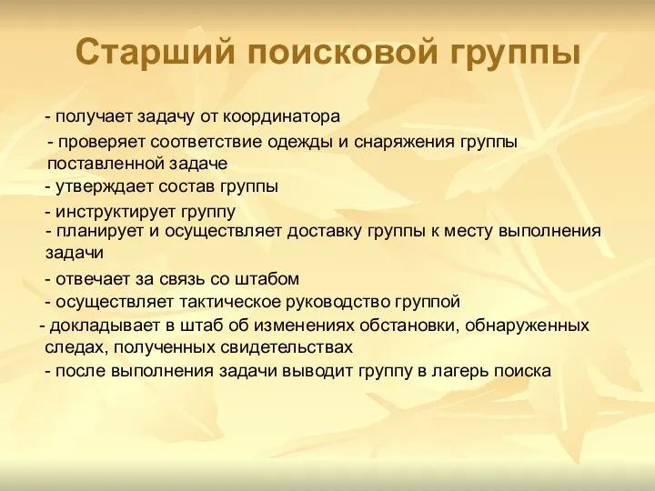 Старший поисковой группы - получает задачу от координатора - проверяет соответствие