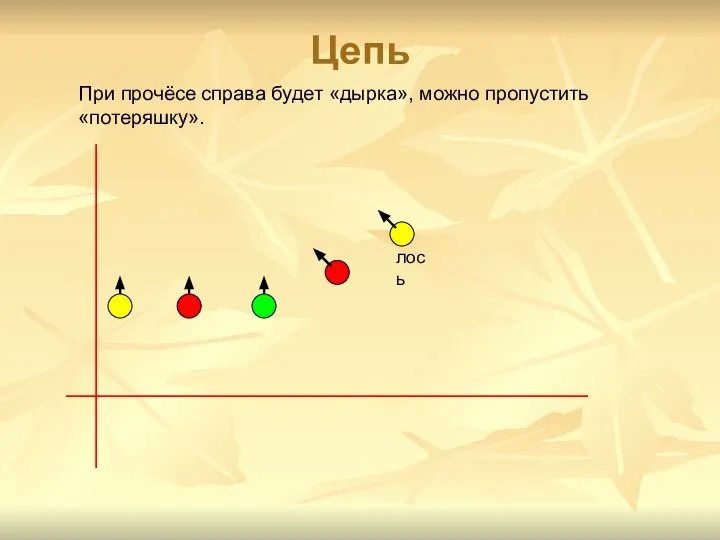 Цепь При прочёсе справа будет «дырка», можно пропустить «потеряшку». лось