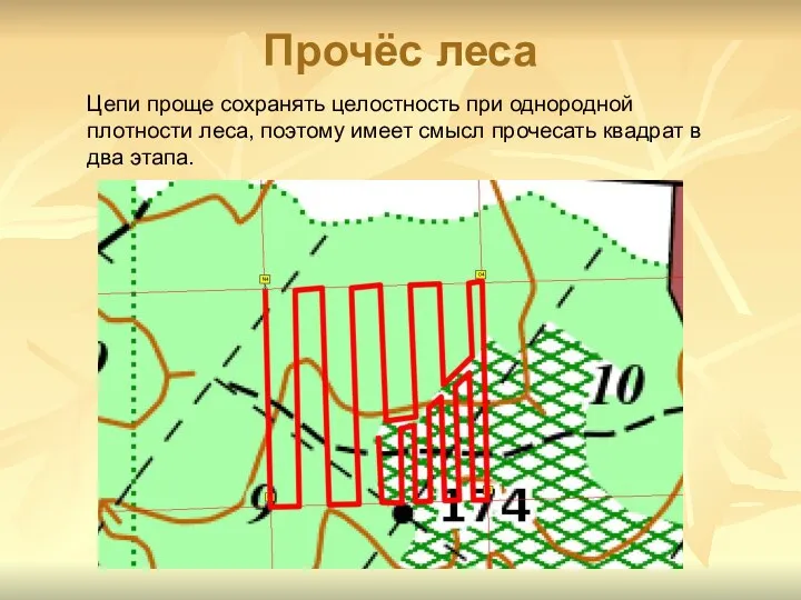 Прочёс леса Цепи проще сохранять целостность при однородной плотности леса, поэтому